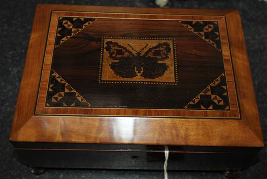 A Tunbridge ware rosewood butterfly mosaic box, 8.25in.